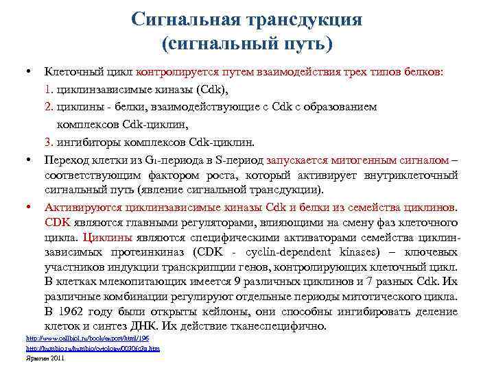 Сигнальная трансдукция (сигнальный путь) • • • Клеточный цикл контролируется путем взаимодействия трех типов