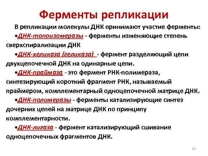 Ферменты репликации В репликации молекулы ДНК принимают участие ферменты: • ДНК-топоизомеразы - ферменты изменяющие