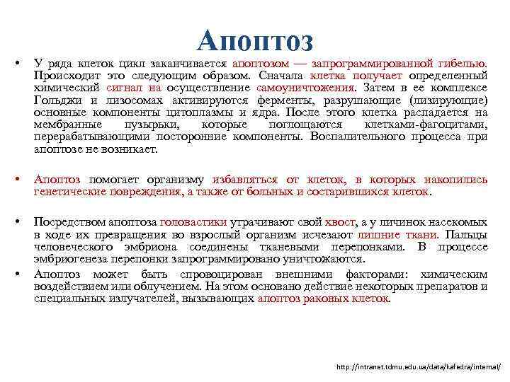 Апоптоз • У ряда клеток цикл заканчивается апоптозом — запрограммированной гибелью. Происходит это следующим