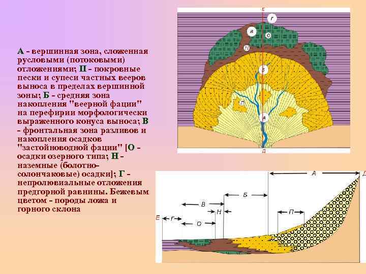 А - вершинная зона, сложенная русловыми (потоковыми) отложениями; П - покровные пески и супеси