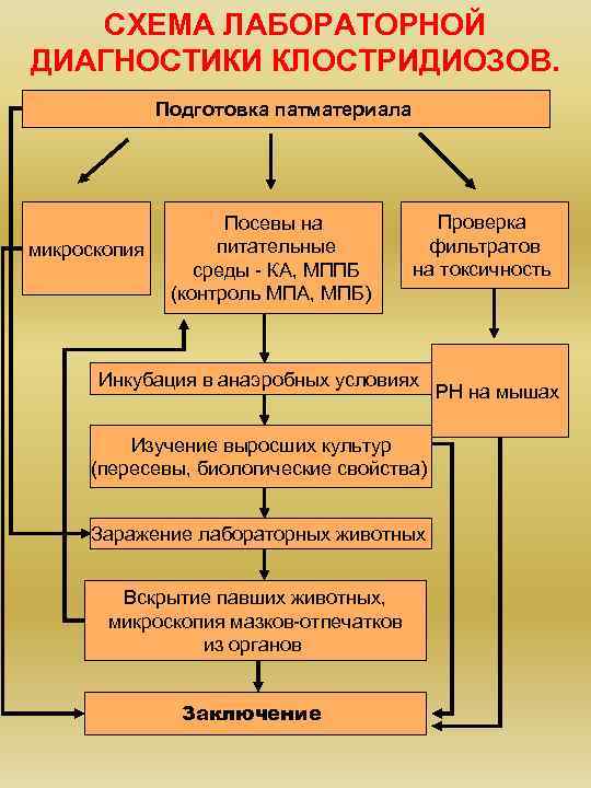 Схема лабораторной диагностики