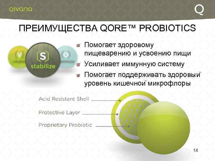 ПРЕИМУЩЕСТВА QORE™ PROBIOTICS Помогает здоровому пищеварению и усвоению пищи Усиливает иммунную систему Помогает поддерживать