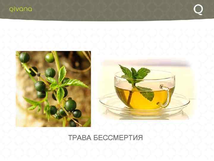 ТРАВА БЕССМЕРТИЯ 