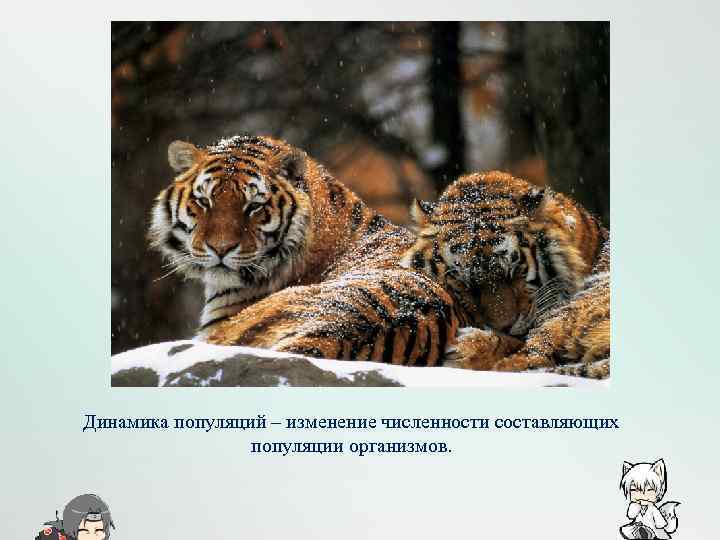 Динамика популяций – изменение численности составляющих популяции организмов. 