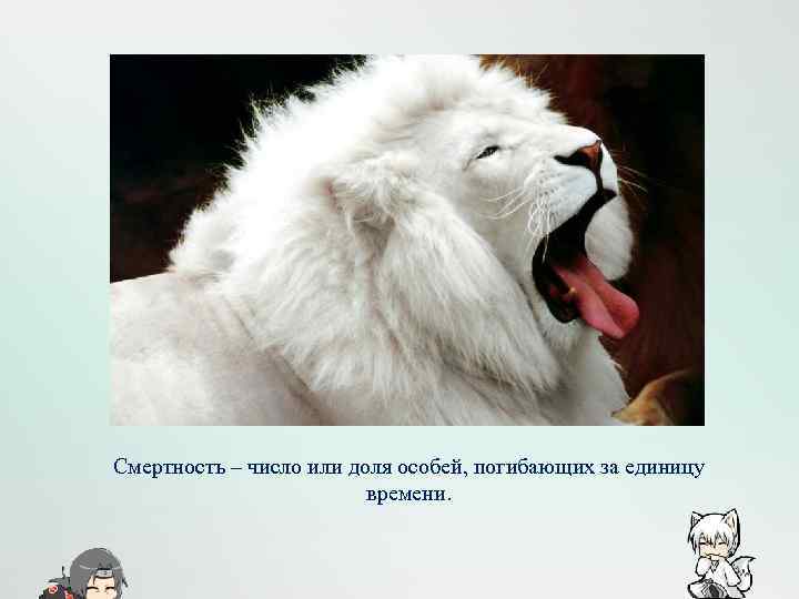 Смертность – число или доля особей, погибающих за единицу времени. 