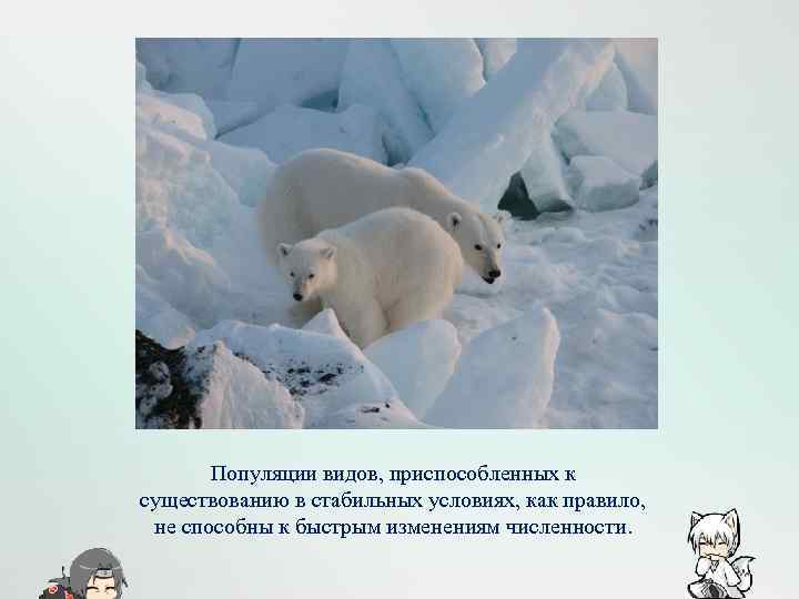 Популяции видов, приспособленных к существованию в стабильных условиях, как правило, не способны к быстрым