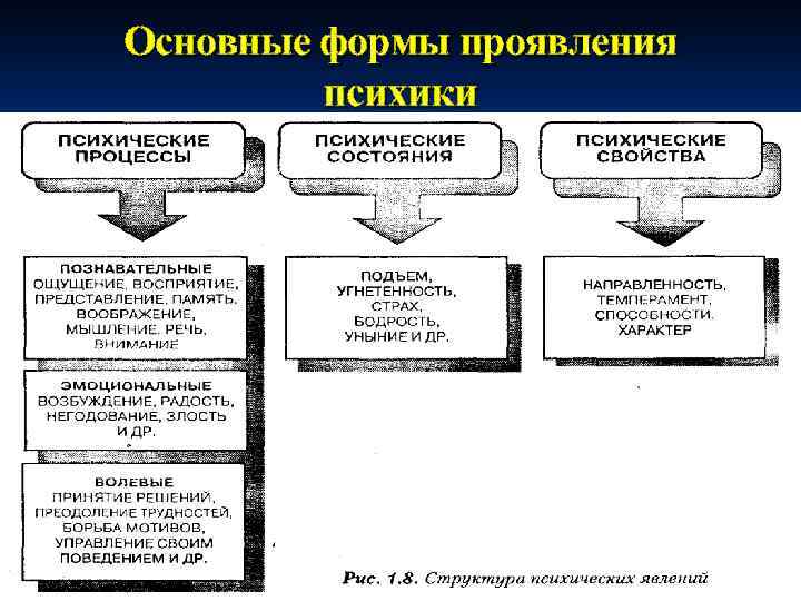 Основные формы проявления психики 