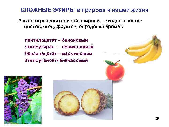 СЛОЖНЫЕ ЭФИРЫ в природе и нашей жизни Распространены в живой природе – входят в