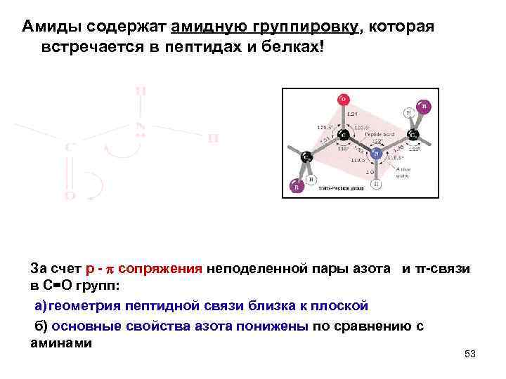 Амиды содержат амидную группировку, которая встречается в пептидах и белках! За счет р -