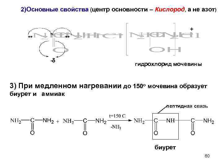 2)Основные свойства (центр основности – Кислород, а не азот) + ** ** - гидрохлорид
