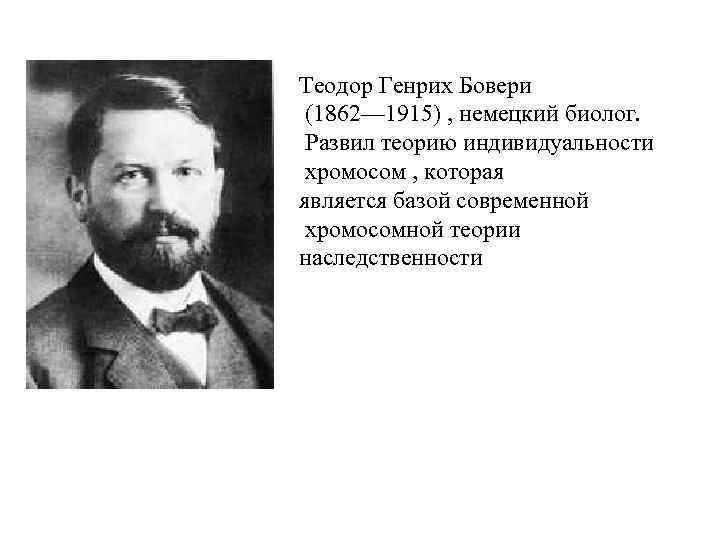 Теодор Генрих Бовери (1862— 1915) , немецкий биолог. Развил теорию индивидуальности хромосом , которая