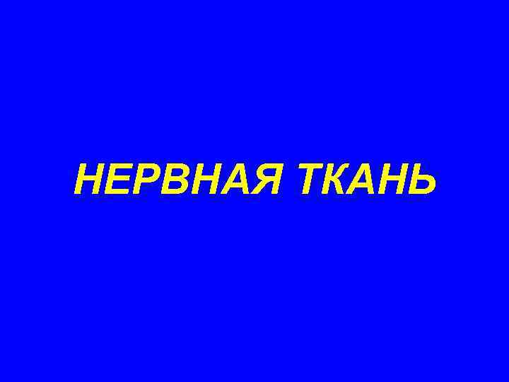 НЕРВНАЯ ТКАНЬ 