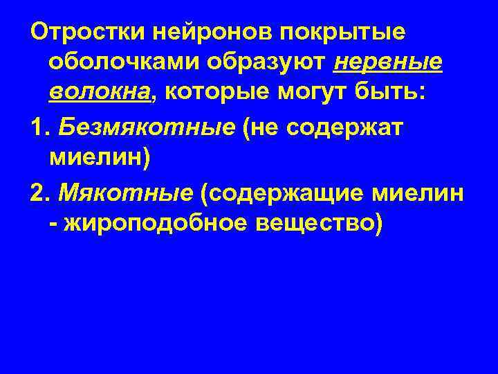 Отростки нейронов покрытые оболочками образуют нервные волокна, которые могут быть: 1. Безмякотные (не содержат