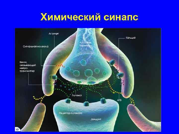 Химический синапс 