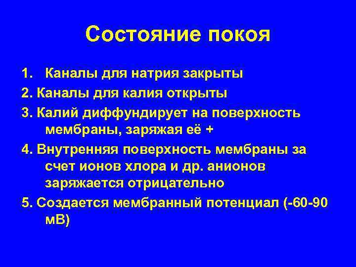 Состояние покоя 1. Каналы для натрия закрыты 2. Каналы для калия открыты 3. Калий