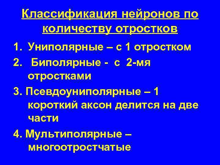 Классификация нейронов по количеству отростков 1. Униполярные – с 1 отростком 2. Биполярные -