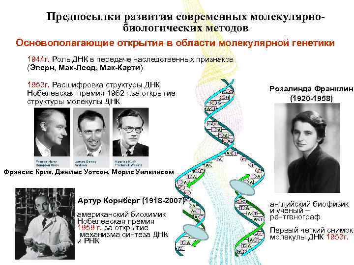 Открытые структуры днк. Структура ДНК 1953. Методы изучения структуры ДНК. Открытие строения ДНК. Открытие структуры молекулы ДНК.