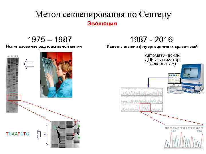 Метод секвенирования по Сенгеру Эволюция 1975 – 1987 1987 - 2016 Использование радиоактивной метки