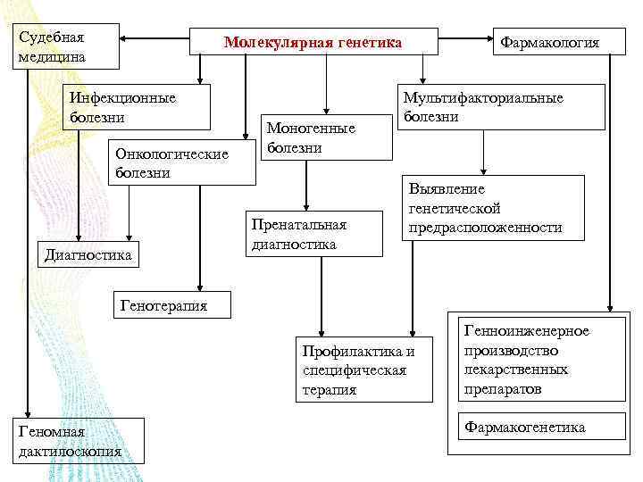 Судебная медицина Молекулярная генетика Инфекционные болезни Онкологические болезни Диагностика Моногенные болезни Пренатальная диагностика Фармакология