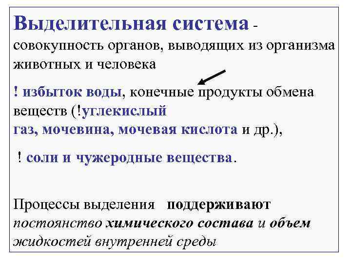 Выделительная система - совокупность органов, выводящих из организма животных и человека ! избыток воды,