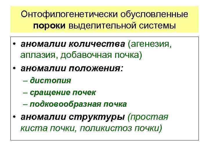 Онтофилогенетически обусловленные пороки выделительной системы • аномалии количества (агенезия, аплазия, добавочная почка) • аномалии