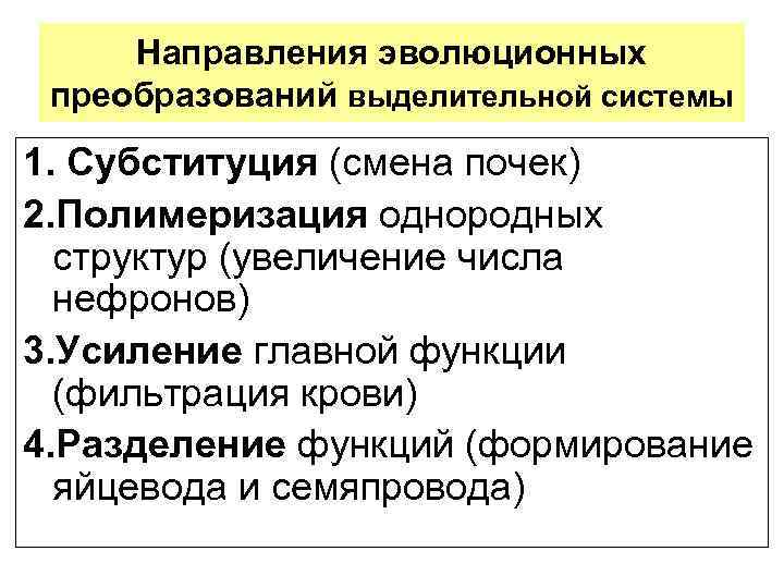 Направления эволюционных преобразований выделительной системы 1. Субституция (смена почек) 2. Полимеризация однородных структур (увеличение