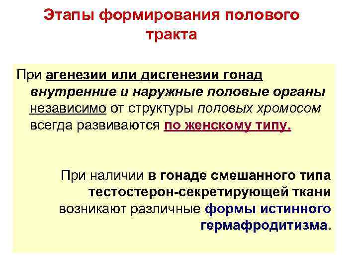 Этапы формирования полового тракта При агенезии или дисгенезии гонад внутренние и наружные половые органы