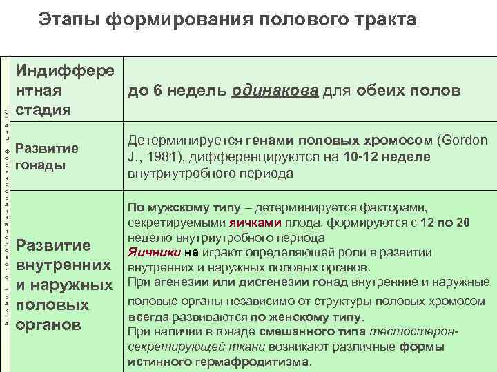Этапы формирования полового тракта Э т а п ы ф о р м и