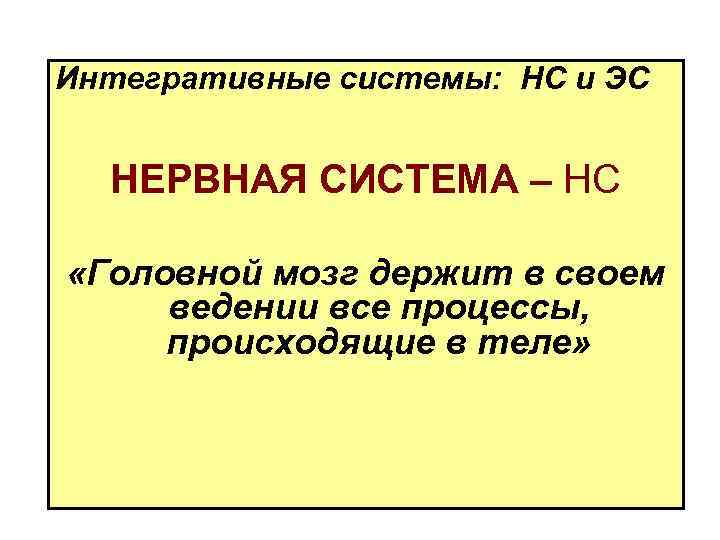 Интегративные системы: НС и ЭС НЕРВНАЯ СИСТЕМА – НС «Головной мозг держит в своем