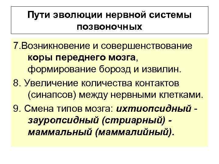 Пути эволюции нервной системы позвоночных 7. Возникновение и совершенствование коры переднего мозга, формирование борозд