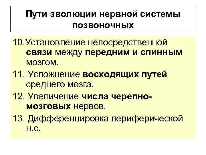 Пути эволюции нервной системы позвоночных 10. Установление непосредственной связи между передним и спинным мозгом.