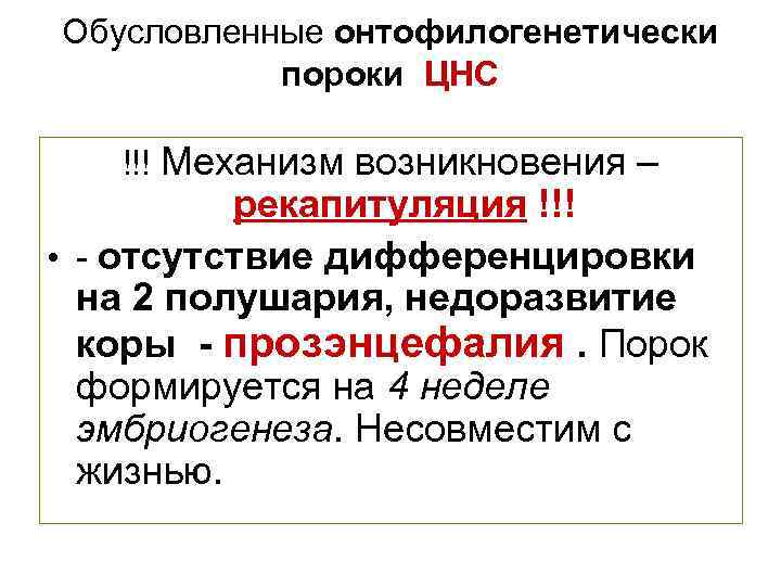 Обусловленные онтофилогенетически пороки ЦНС !!! Механизм возникновения – рекапитуляция !!! • - отсутствие дифференцировки