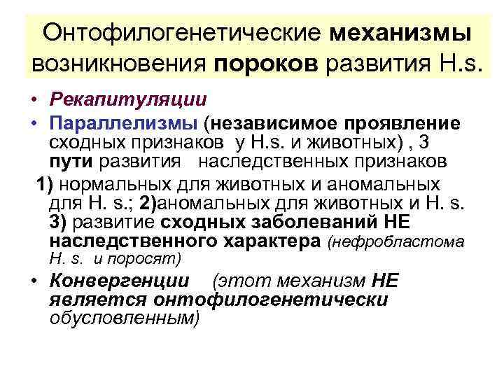 Онтофилогенетические механизмы возникновения пороков развития H. s. • Рекапитуляции • Параллелизмы (независимое проявление сходных