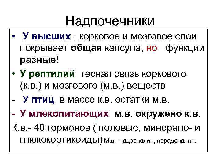 Надпочечники • У высших : корковое и мозговое слои покрывает общая капсула, но функции