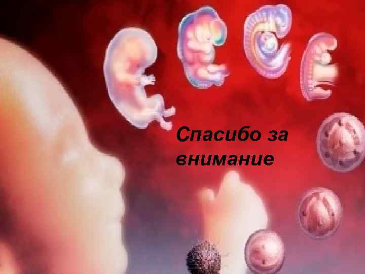 Спасибо за внимание 