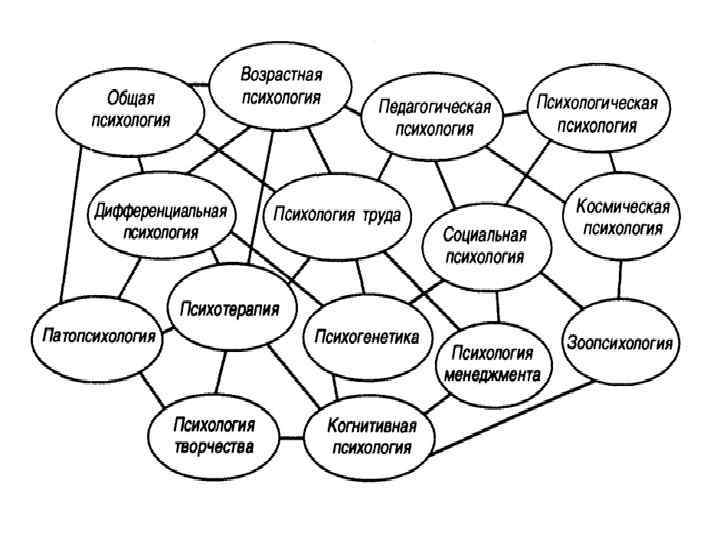 Связь специальной психологии и специальной педагогики с другими науками схема