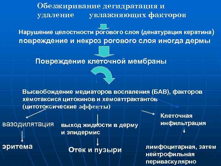 Primary irritant Обезжиривание дегидратация и удаление увлажняющих факторов Нарушение целостности рогового слоя (денатурация кератина)