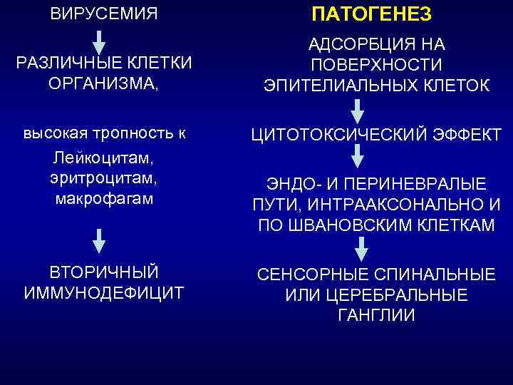 ВИРУСЕМИЯ ПАТОГЕНЕЗ РАЗЛИЧНЫЕ КЛЕТКИ ОРГАНИЗМА, АДСОРБЦИЯ НА ПОВЕРХНОСТИ ЭПИТЕЛИАЛЬНЫХ КЛЕТОК высокая тропность к Лейкоцитам,