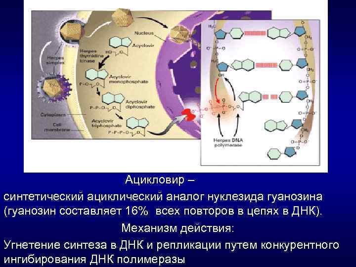 Вирусные дерматозы фото