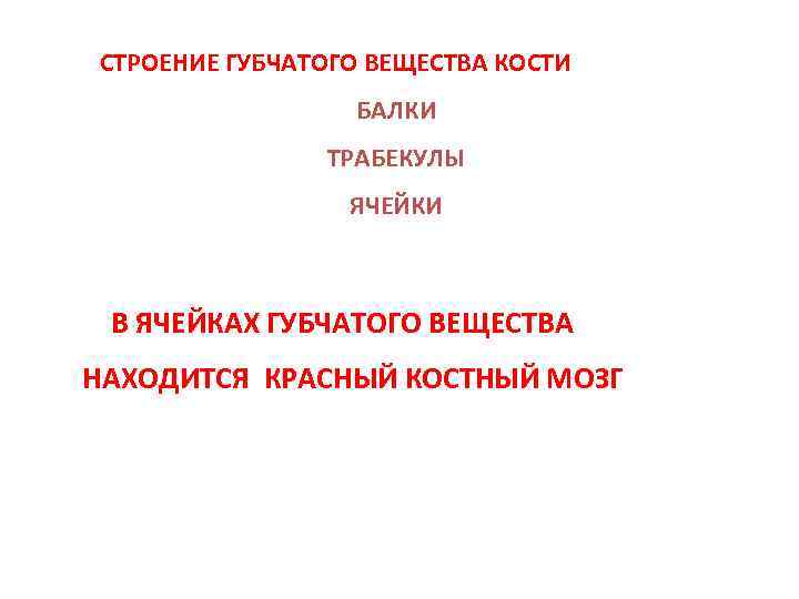 СТРОЕНИЕ ГУБЧАТОГО ВЕЩЕСТВА КОСТИ БАЛКИ ТРАБЕКУЛЫ ЯЧЕЙКИ В ЯЧЕЙКАХ ГУБЧАТОГО ВЕЩЕСТВА НАХОДИТСЯ КРАСНЫЙ КОСТНЫЙ