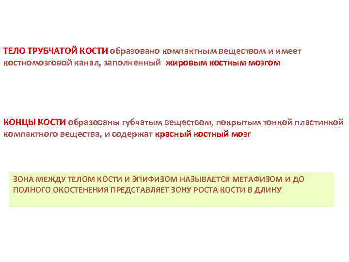 ТЕЛО ТРУБЧАТОЙ КОСТИ образовано компактным веществом и имеет костномозговой канал, заполненный жировым костным мозгом