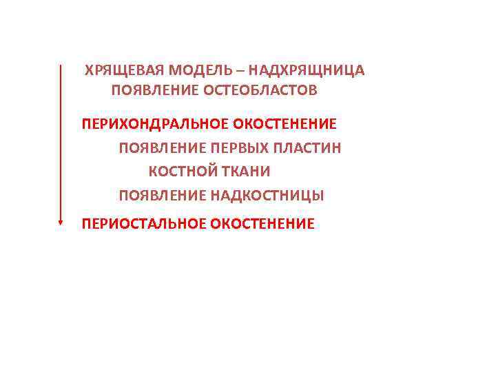 ХРЯЩЕВАЯ МОДЕЛЬ – НАДХРЯЩНИЦА ПОЯВЛЕНИЕ ОСТЕОБЛАСТОВ ПЕРИХОНДРАЛЬНОЕ ОКОСТЕНЕНИЕ ПОЯВЛЕНИЕ ПЕРВЫХ ПЛАСТИН КОСТНОЙ ТКАНИ ПОЯВЛЕНИЕ