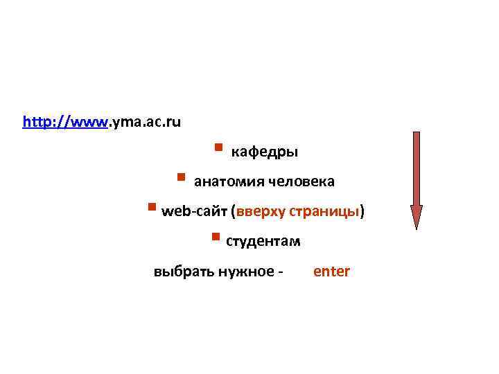 http: //www. yma. ac. ru § кафедры § анатомия человека § web-сайт (вверху страницы)