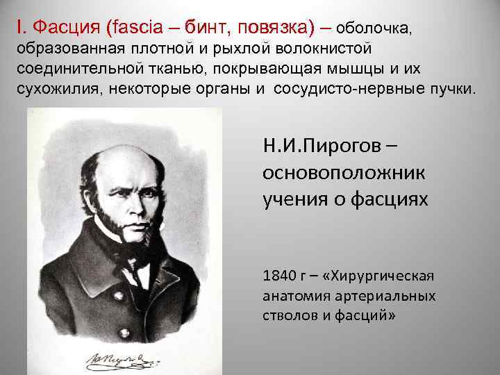 I. Фасция (fascia – бинт, повязка) – оболочка, образованная плотной и рыхлой волокнистой соединительной