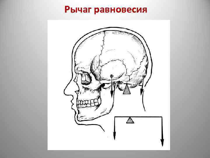 Рычаг равновесия 