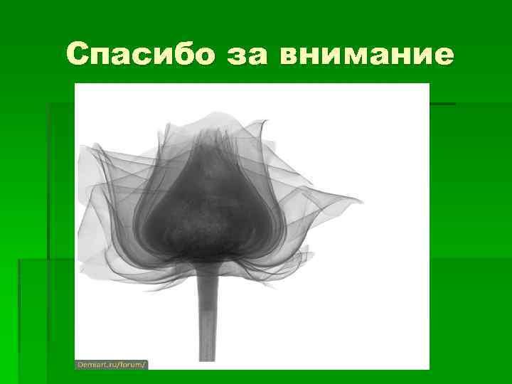 Спасибо за внимание 