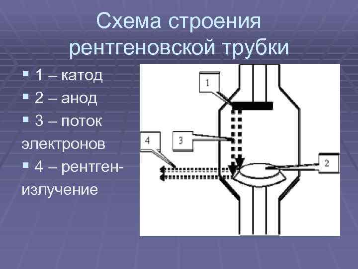 Схема строения рентгеновской трубки § 1 – катод § 2 – анод § 3