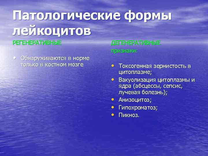 Патологические формы лейкоцитов РЕГЕНЕРАТИВНЫЕ • Обнаруживаются в норме только в костном мозге ДЕГЕНЕРАТИВНЫЕ признаки:
