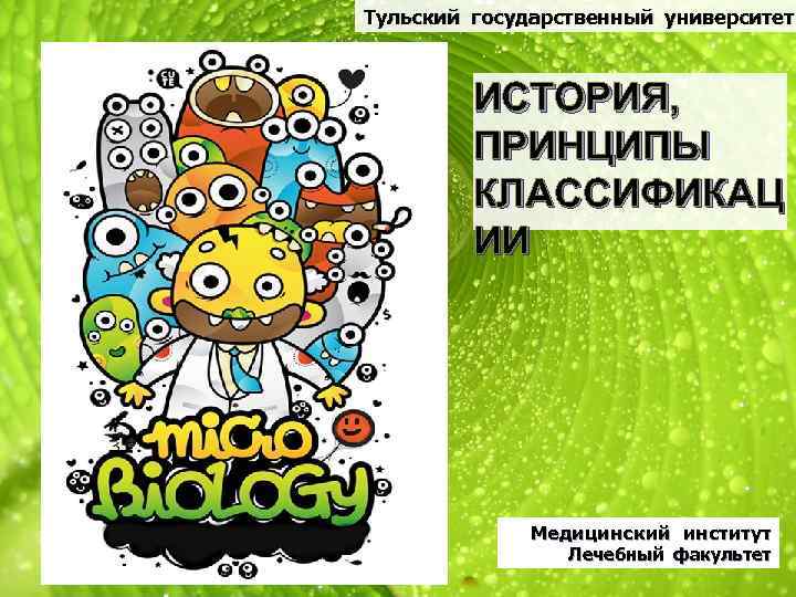 Тульский государственный университет ИСТОРИЯ, ПРИНЦИПЫ КЛАССИФИКАЦ ИИ Медицинский институт Лечебный факультет 