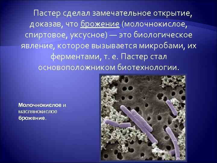 Пастер сделал замечательное открытие, доказав, что брожение (молочнокислое, спиртовое, уксусное) — это биологическое явление,